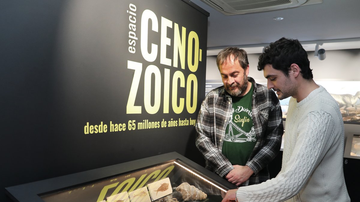 El aula paleontológica  del centro cultural 'Jesús Meneses' de Villamuriel de Cerrato  custodia 10.000 fósiles y mantiene vivo el legado de Rafael Martín