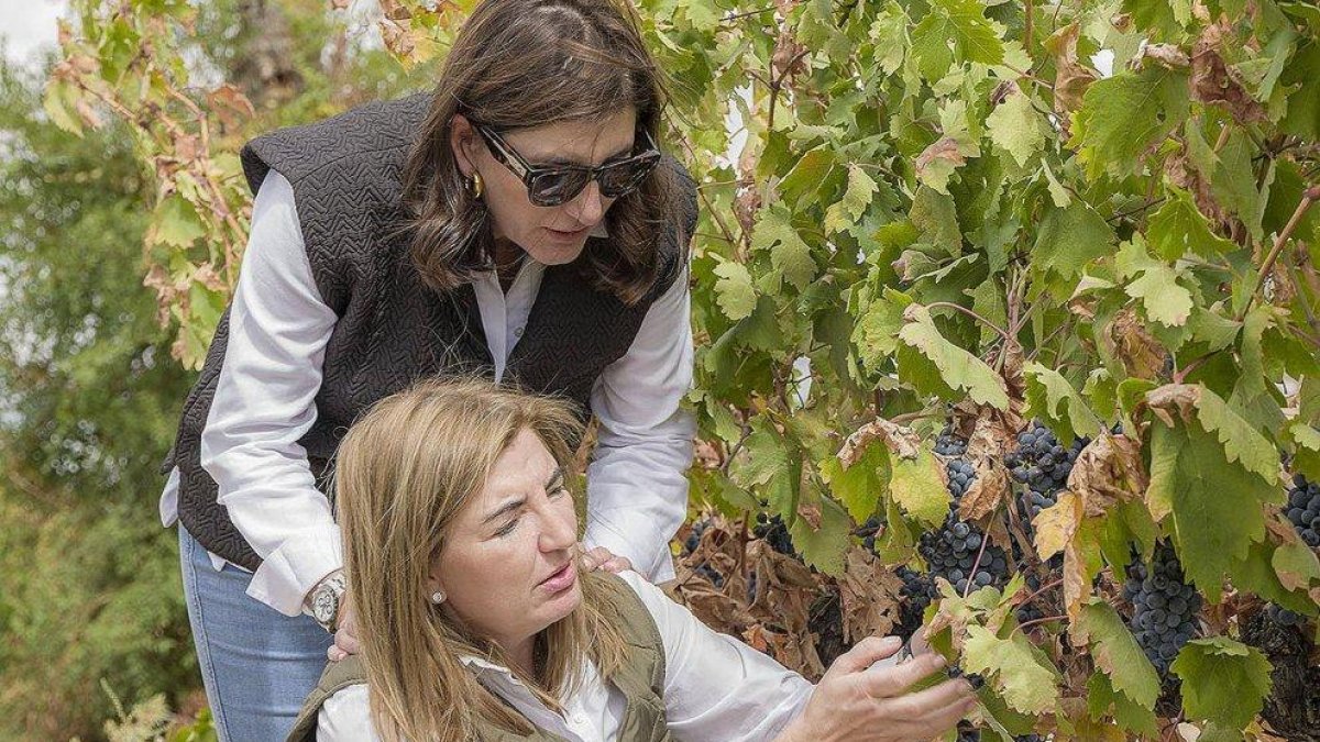 Carmen y Lourdes Martínez Zabala contemplan el viñedo ecológico