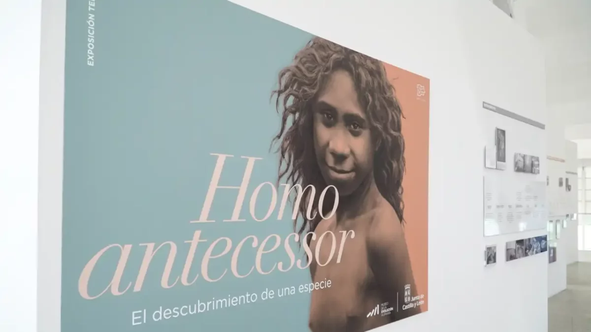 Una imagen de la muestra.