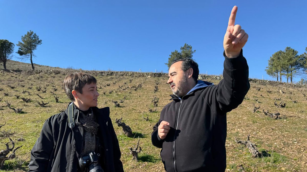 Montse Alonso, experta conocedora del sector, lidera este proyecto vitivinícola junto a un grupo de inversores que buscan recuperar viñedos con historia y crear vinos que hablen de su origen.e.m.