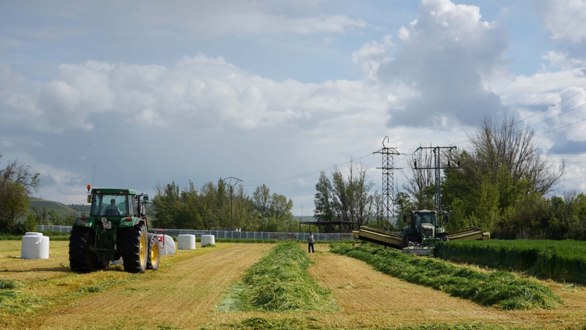 Un agricultor realiza labores de siega de alfalfa en tierra de campos.