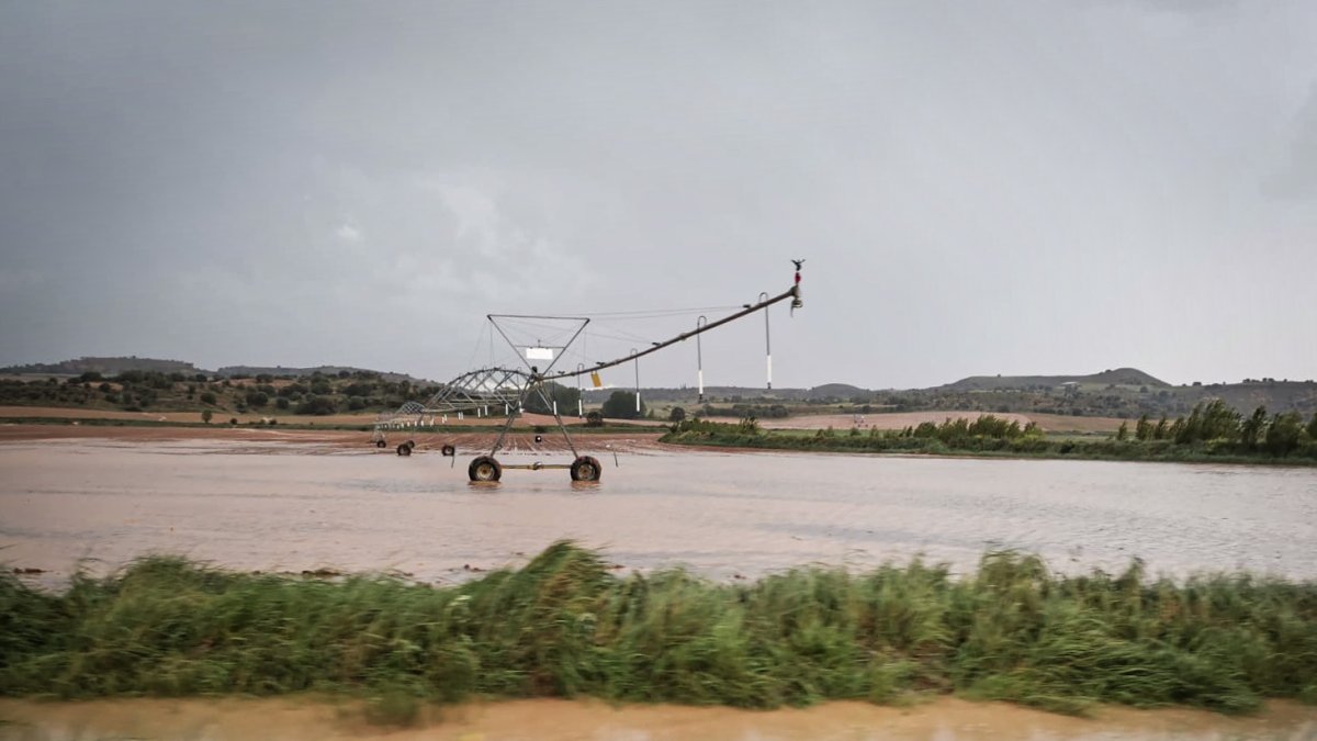 Finca de regadío en Olmillos de la provincia de Soria inundada tras las abundantes lluvias del invierno