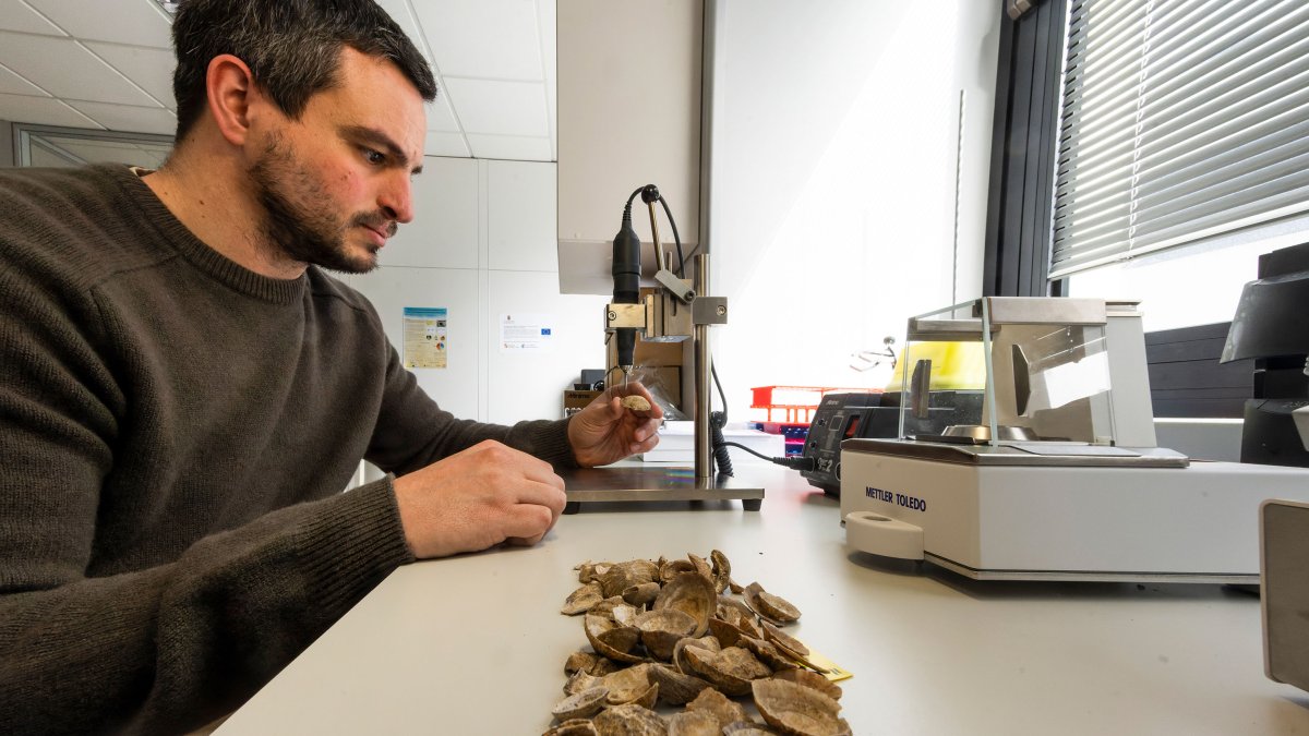 Asier García Escárzaga.