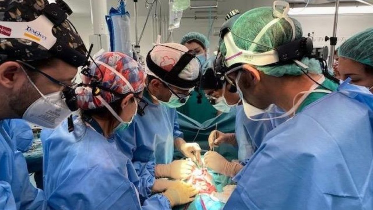 Trasplante de intestino en un hospital de la Comunidad en una imagen de archivo,