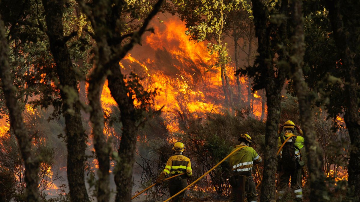 Incendio forestal en El Payo (Salamanca) que obligó a evacuar a los vecinos.