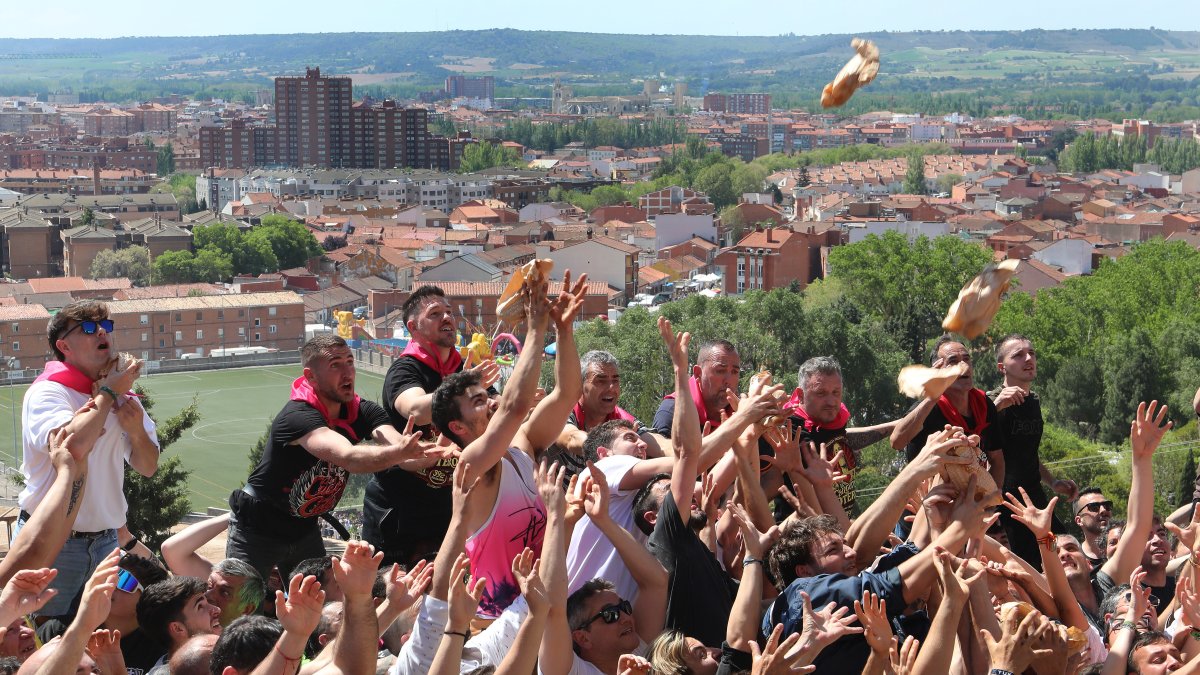 Romería del Santo Toribio del barrio del Cristo de Palencia.