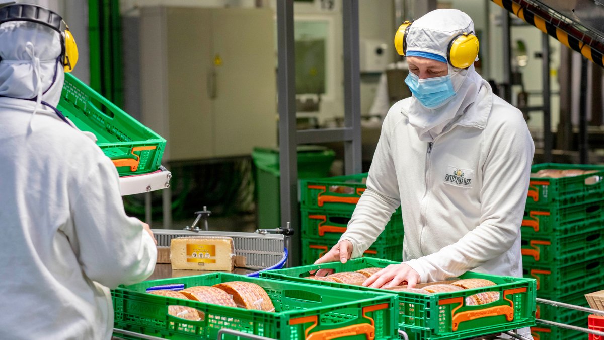 Fabricación de quesos en Entrepinares, interproveedor de Mercadona para lácteos. 