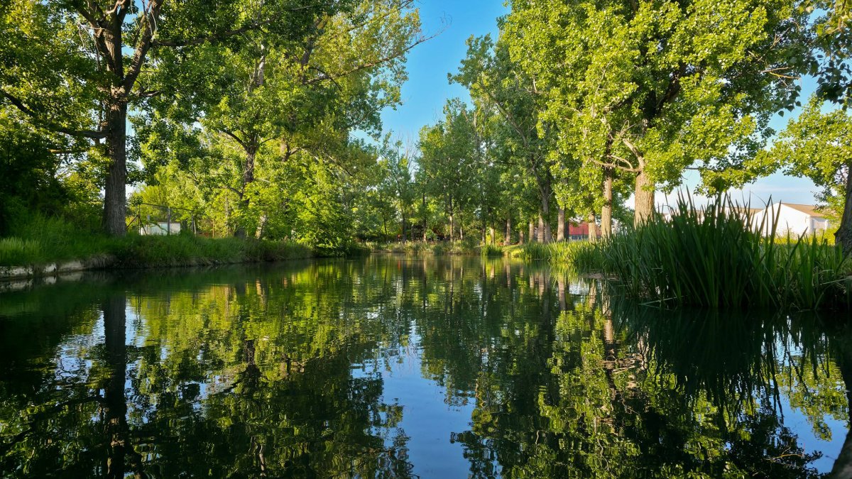 Un tramo del Canal de Castilla entre arbolado de ribera, uno de los paisajes más característicos de esta ruta perfecta para recorrer en bici o a pie