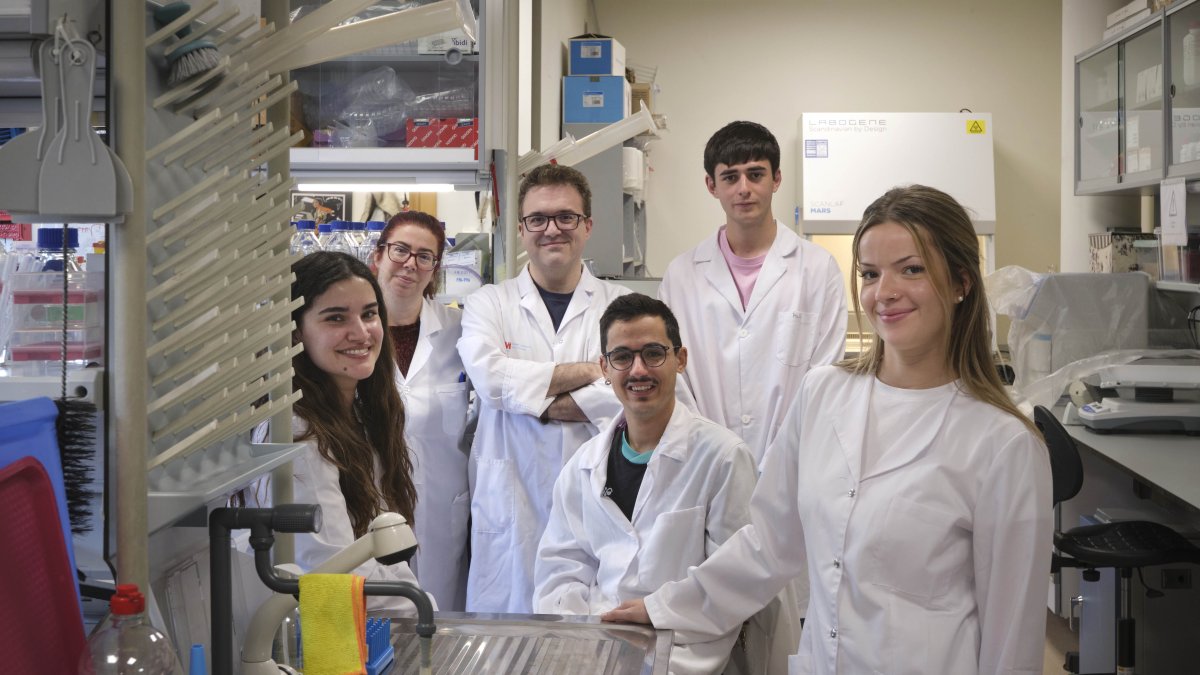 Miguel Vicente-Manzanares junto a su grupo de investigación