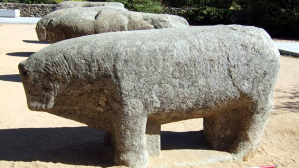 Ejemplos de verracos vetones: figuras de granito talladas hace más de 2.000 años que representaban toros y suidos y cumplían funciones de protección territorial, comunitaria y funeraria.