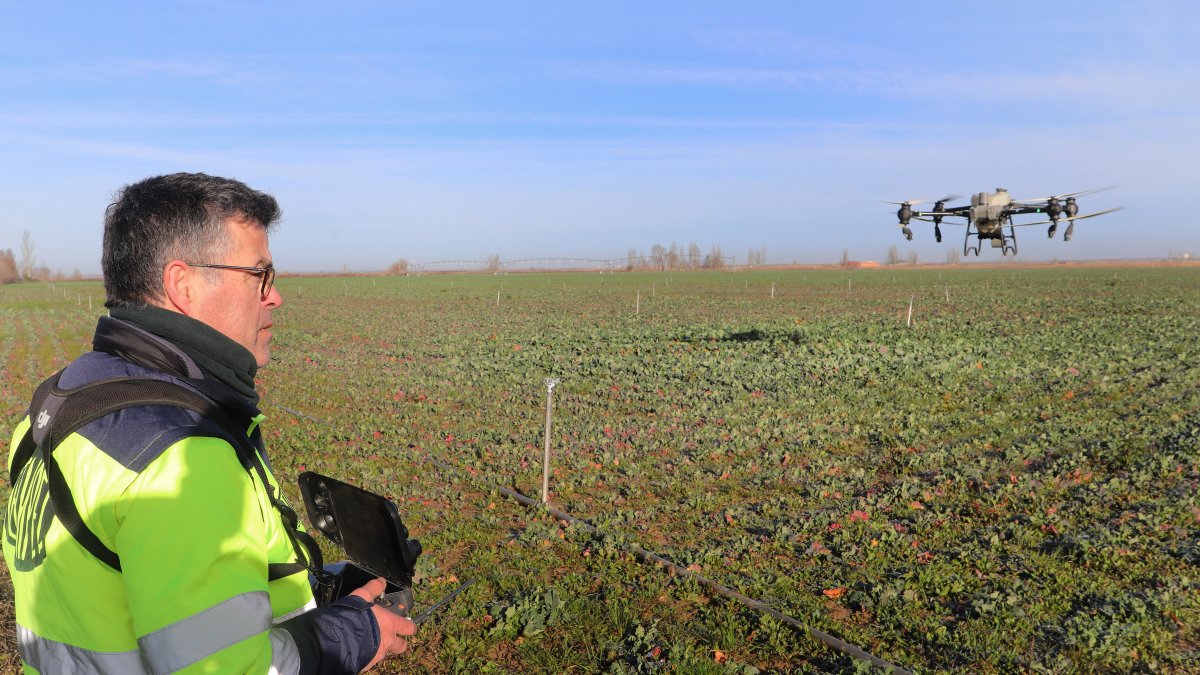 Una empresa palentina ofrece un servicio de aplicaciones agrícolas con vehículos aéreos