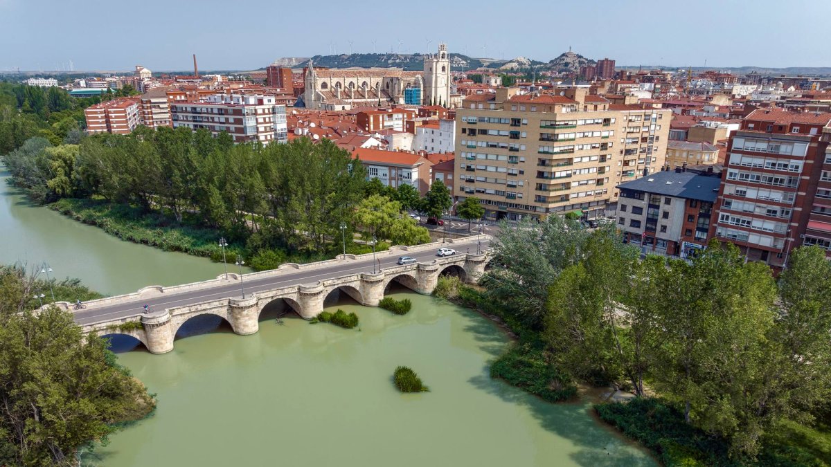 Palencia fue uno de los principales centros culturales y académicos de Castilla durante el reinado de Alfonso VIII.