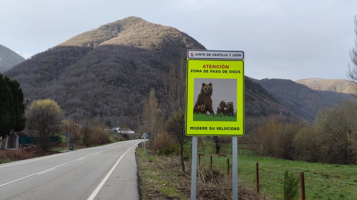 Señal de aviso por osos en Rabanal de Abajo (León).