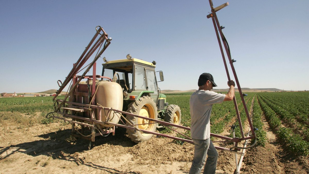 Un agricultor prepara su tractor para fumigar su cultivo de patatas.