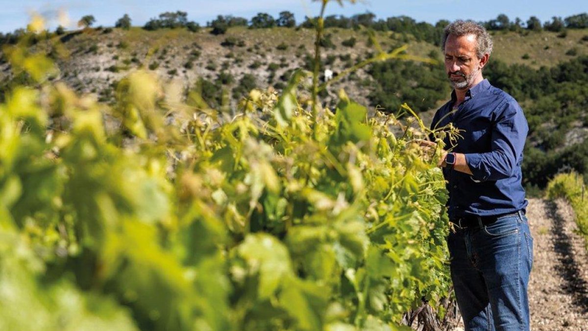 Rubén Iglesias, gerente y enólogo de la bodega Vega de Yuso.