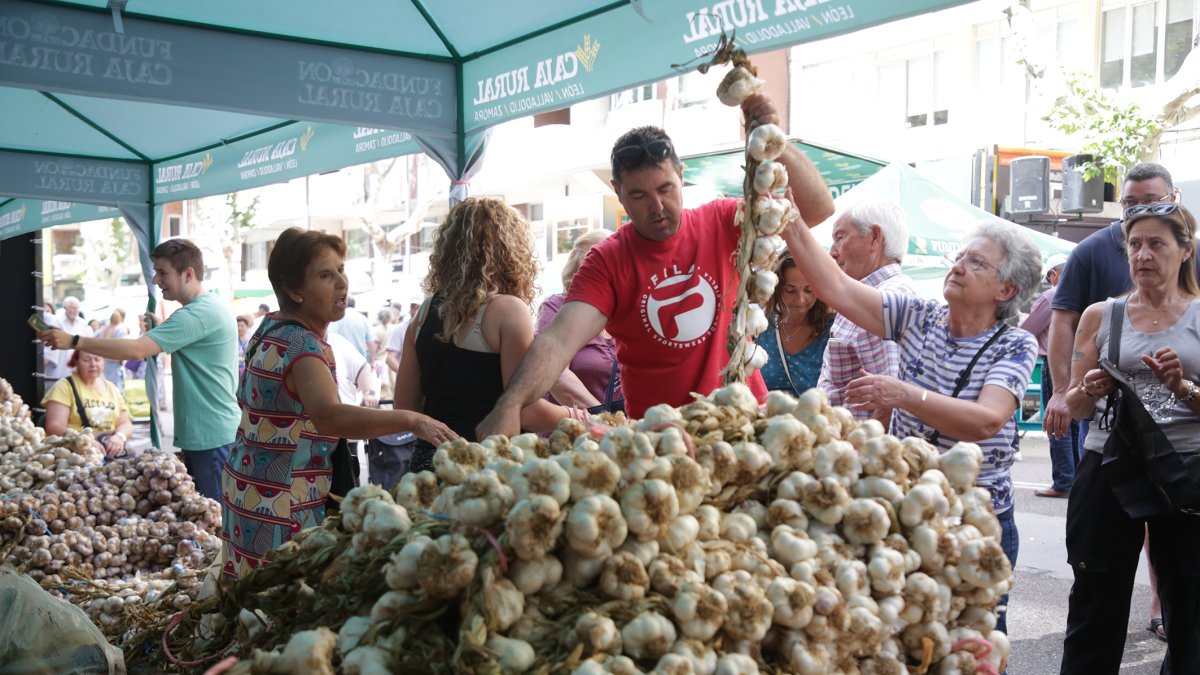 La feria del ajo celebrada en Zamora en ediciones anteriores