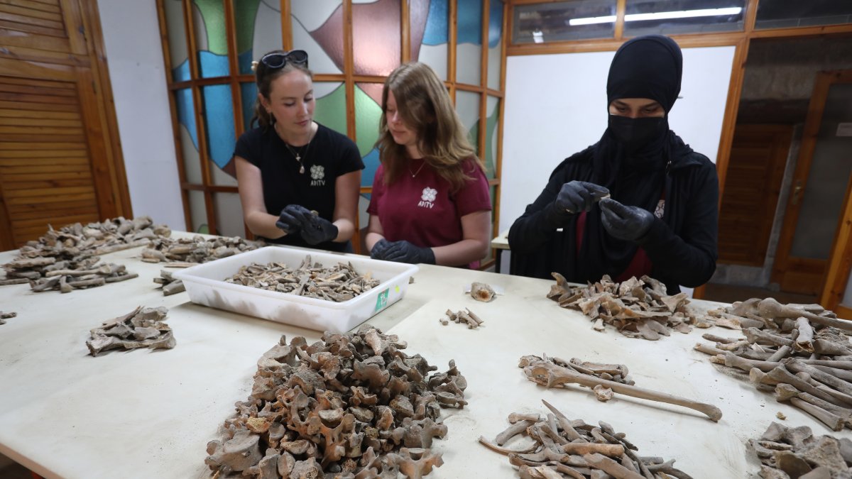 Equipo de profesionales que trabaja en el yacimiento de la catdral de Palencia