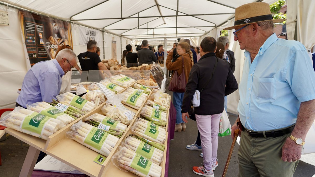 Feria de Exaltación del Espárrago y de la Artesanía de Tudela de Duero, durante la edición del año pasado.