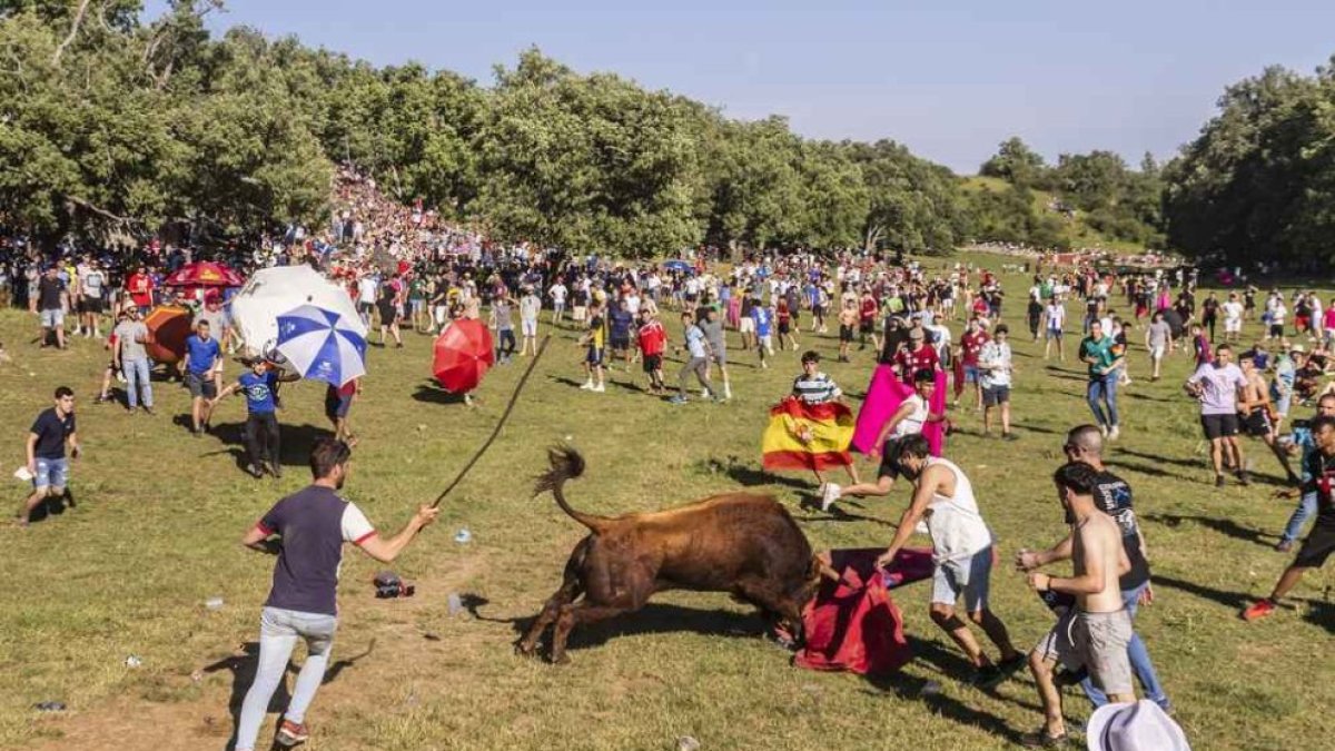 Imagen del Lavalenguas