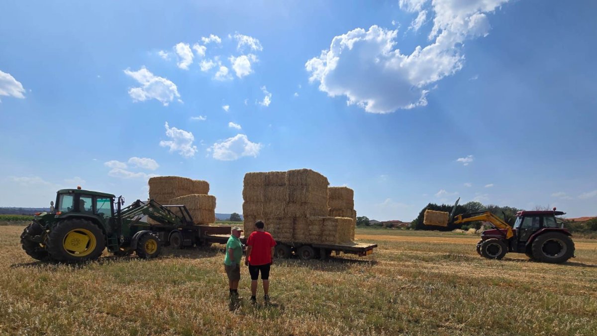 Dos ganaderos en una explotación agrícola de la Valdería