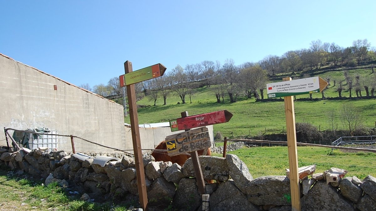 La ruta de la Plata cruza por el centro del pueblo salamantino de Calzada de Béjar; en la imagen señales que indican la dirección a Santiago