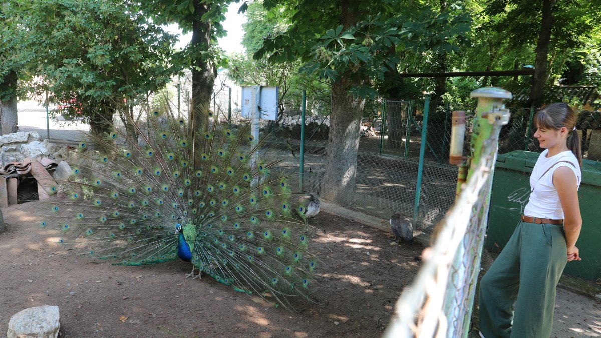 Reapertura del zoo de Aves en Herrera de Pisuerga (Palencia)