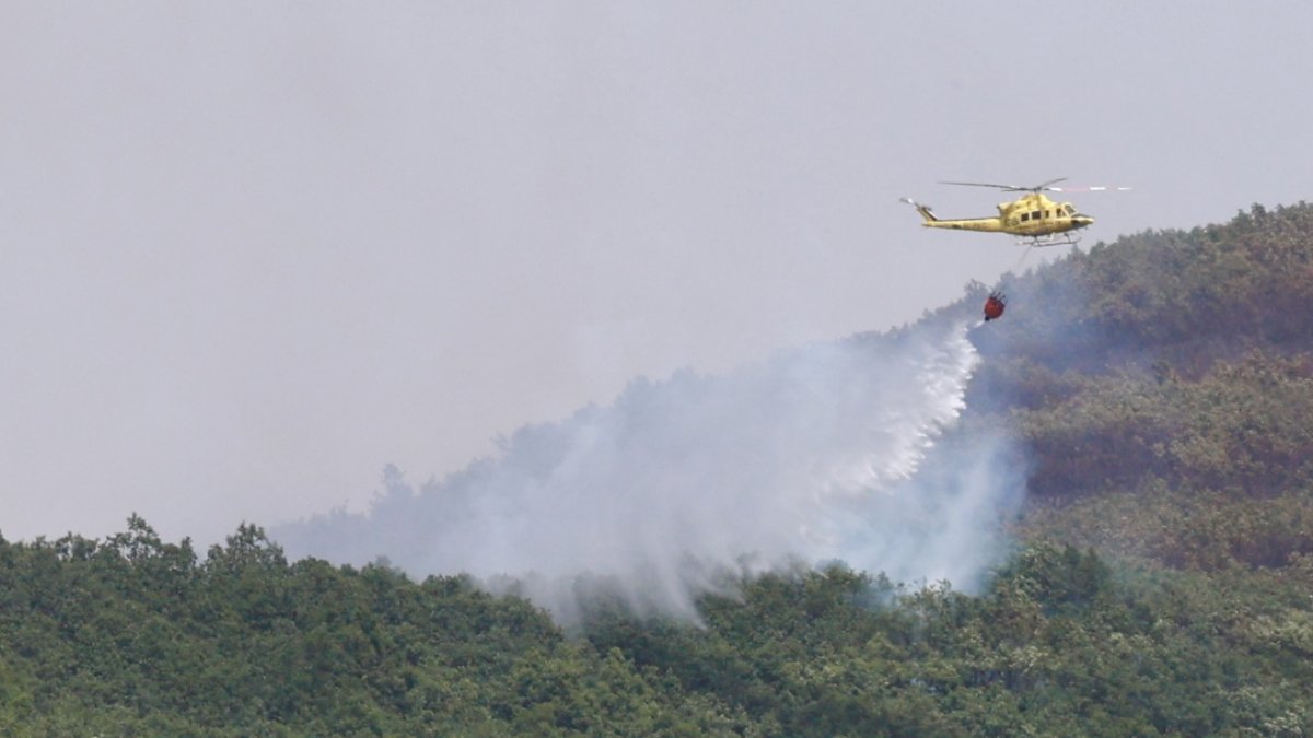 Labores de extinción de un incendio forestal originado esta madrugada en Valdepiélago (León).