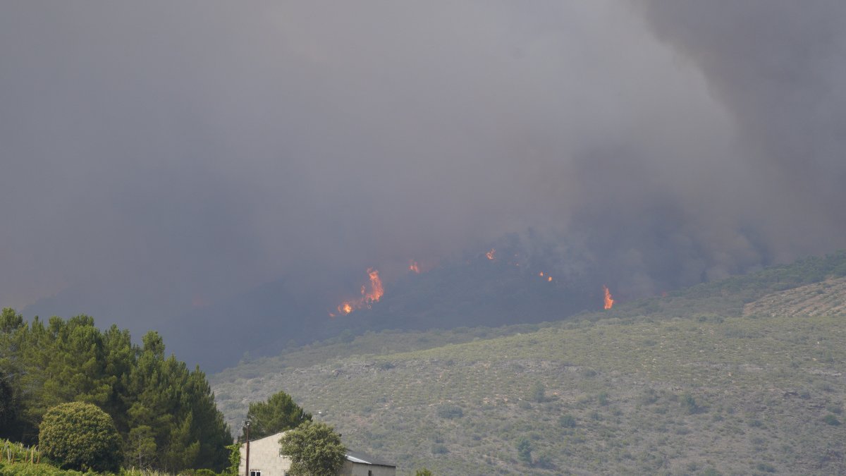 Incendio en la localidad de San Vicente de Arganza (León).