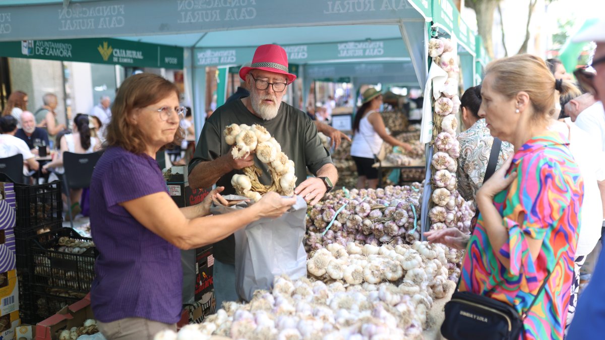 Inauguración de la feria del ajo en Zamora.