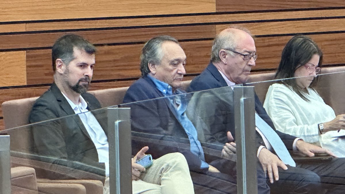El senador autonómico del PSOE, Luis Tudanca, asiste al pleno del Procurador del Común en las Cortes.