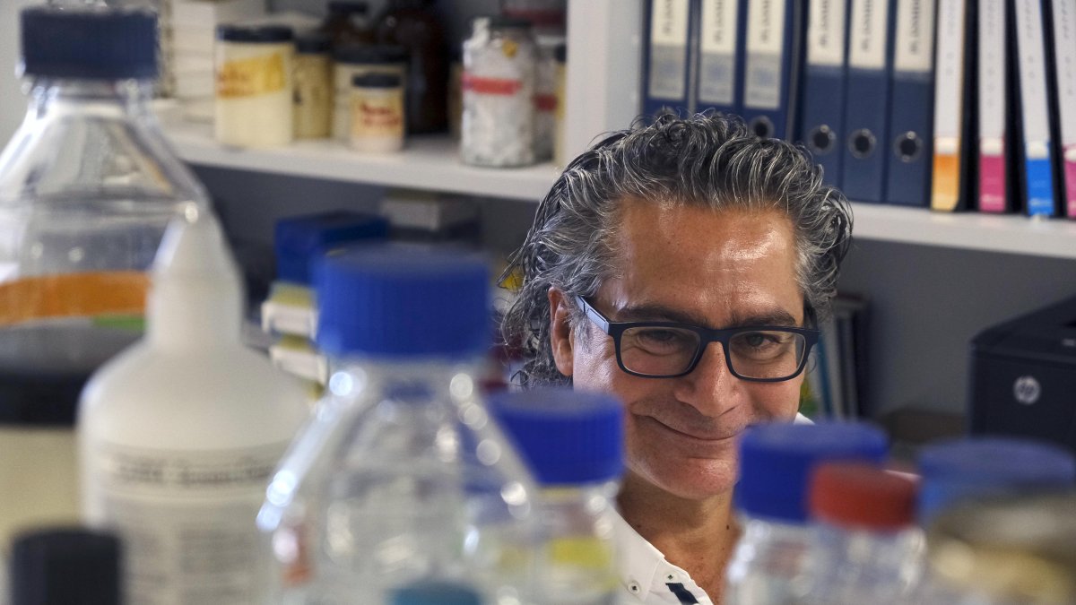 Juan Pedro Bolaños, catedrático de la USAL, premio Castilla y León de investigación.