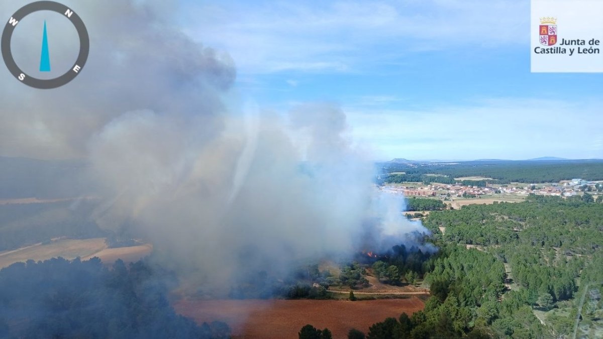 Incendio Forestal de Tardelcuende (Soria).
