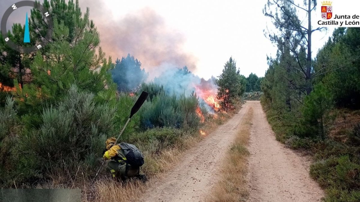 Incendio de Porqueros (León), en la tarde del 7 de julio - JCYL