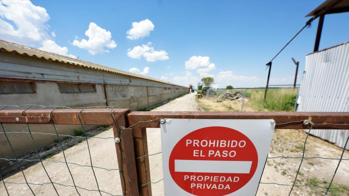 Granja avícola en Aldea de San Miguel donde surgió el primer foco de Enfermedad de Newcastle