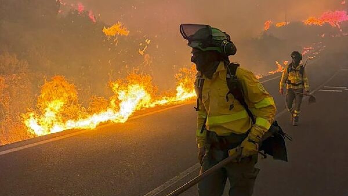 Los bomberos forestales en el incendio de Los Gallardos en Almería.