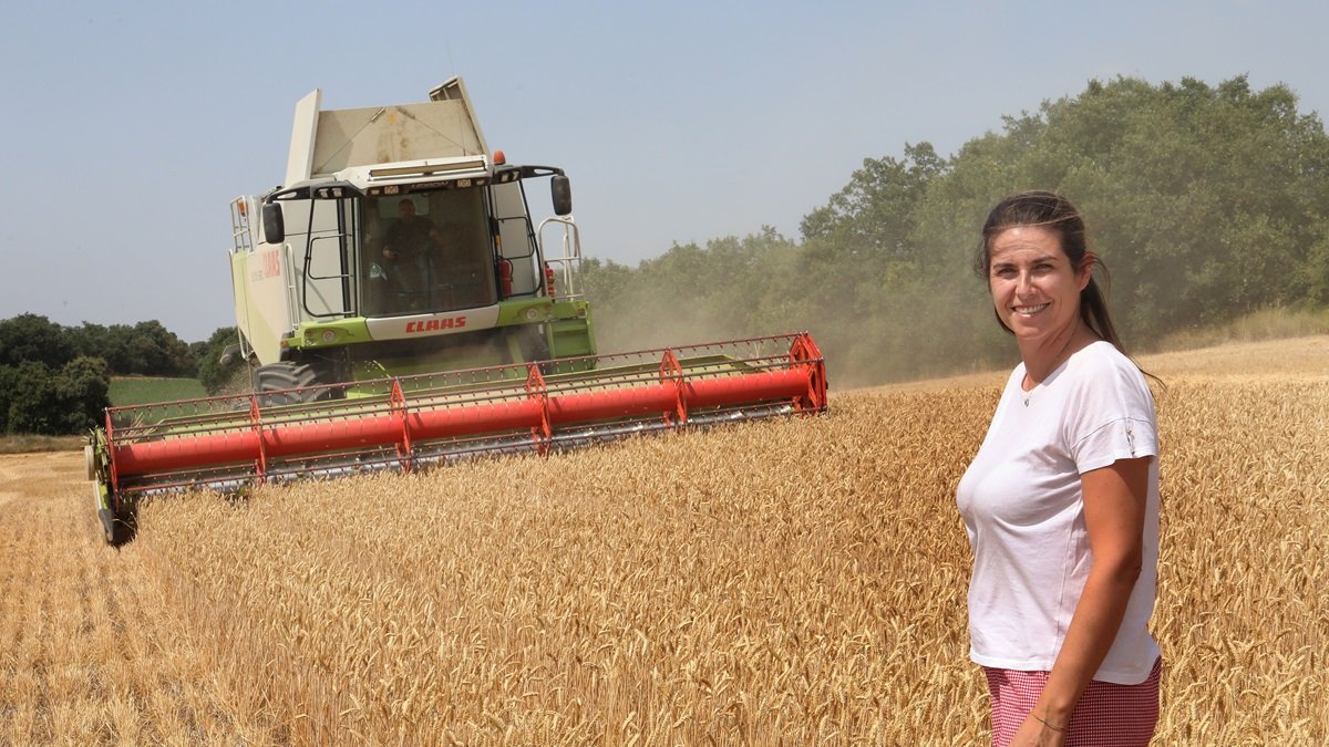 Blanca Martín en la imagen momento de la cosecha de trigo en Valdespina (Palencia)