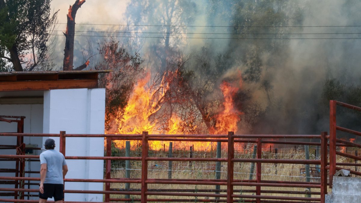 Incendio en Navatejera (León)