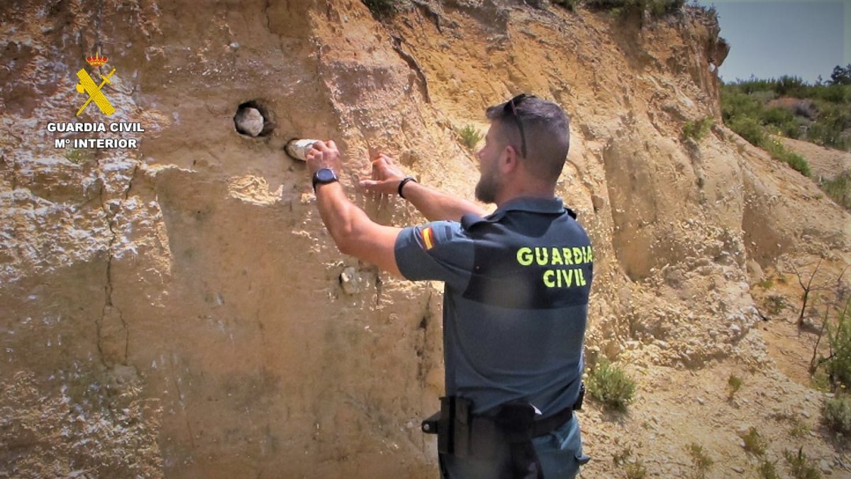 Agente de la Guardia Civil destapando parte de los nidos afectados.
