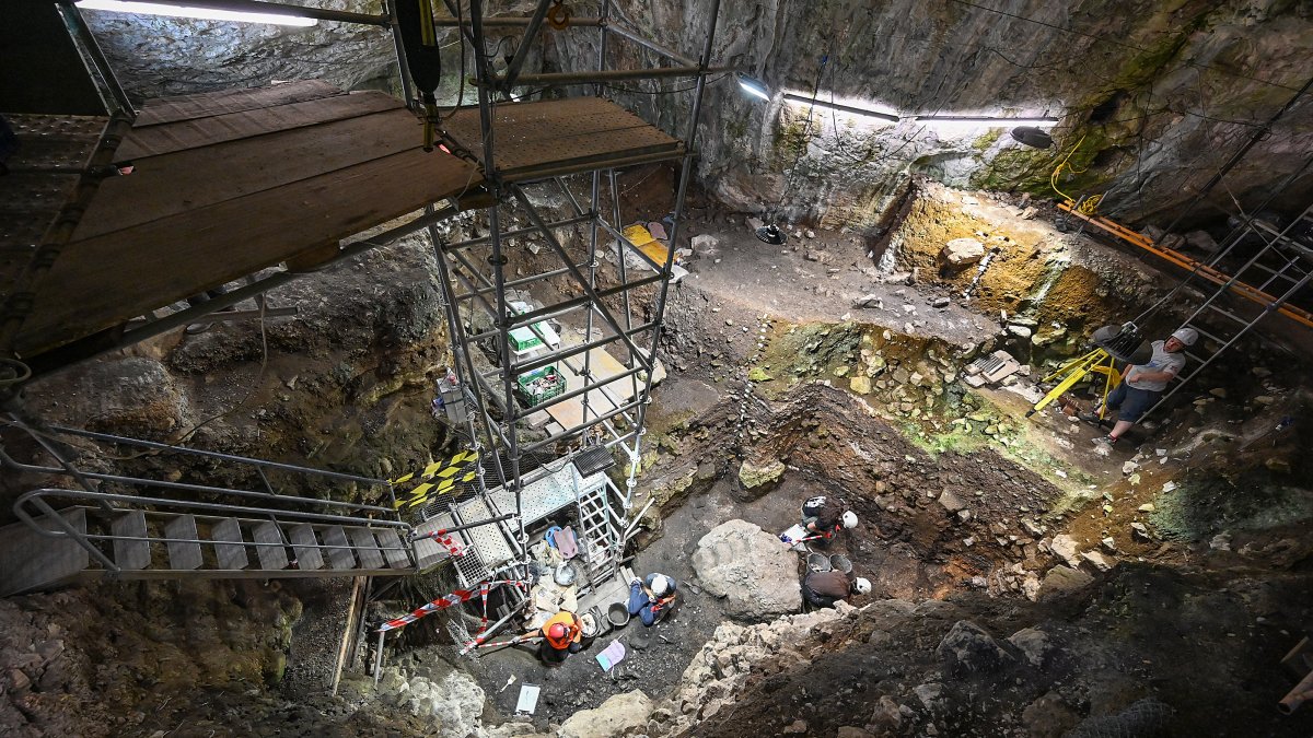 Yacimiento Portalón de Cueva Mayor