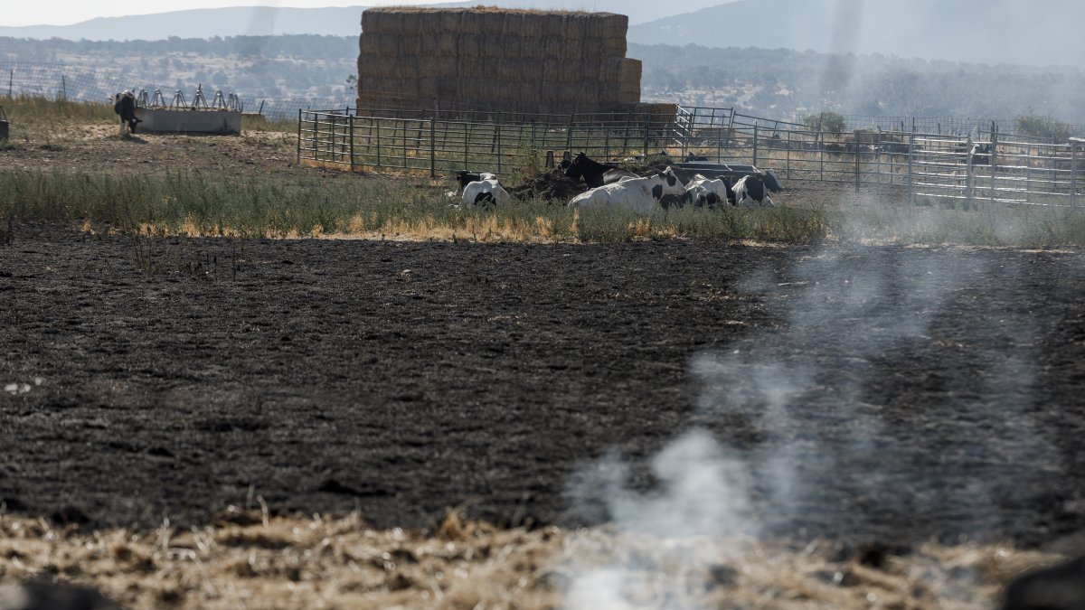 Incendio de Brieva en la provincia de Segovia