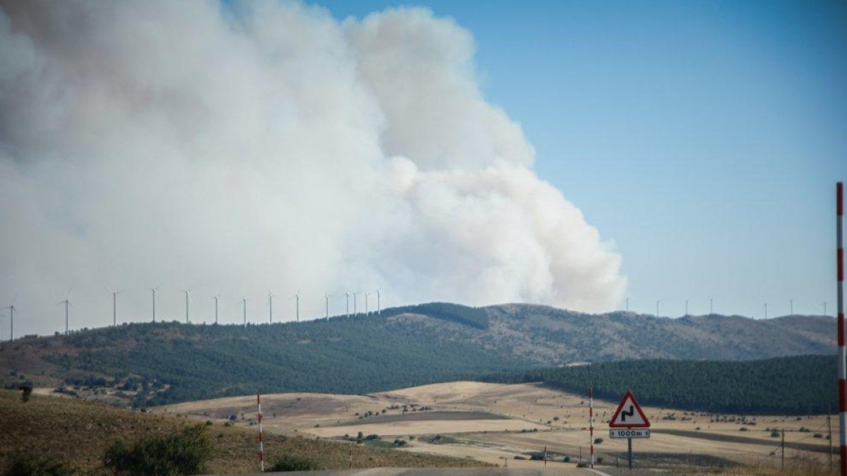 Tensión en el límite provincial de Soria y Guadalajara por el incendio.