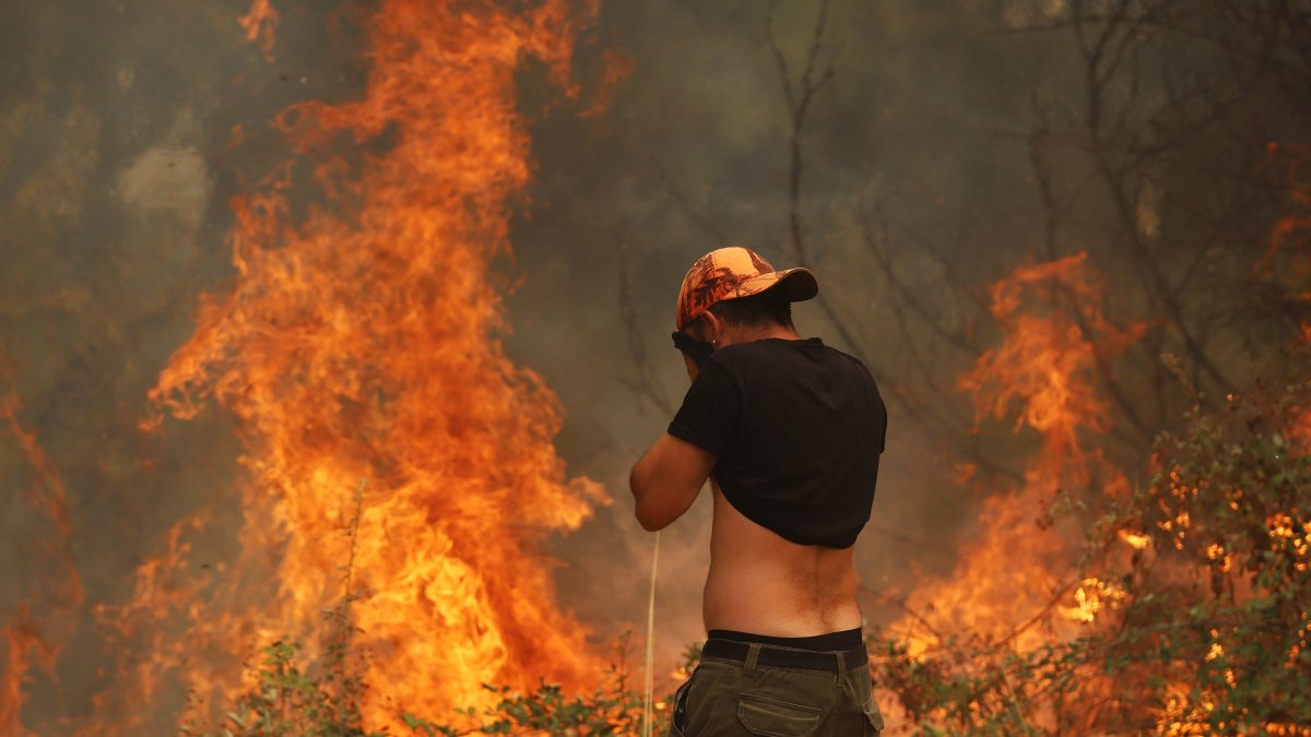 Incendio en la provincia de Ávila