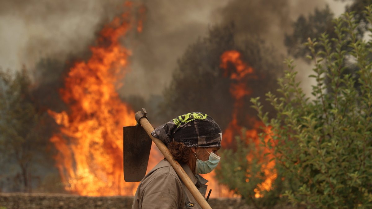 Incendio en la provincia de Ávila