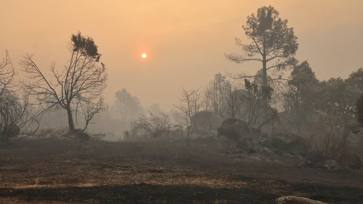 El incendio forestal de Burgohondo (Ávila).