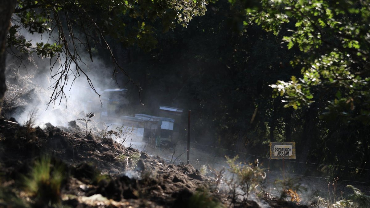 Zona quemada por el incendio forestal, a 24 de julio de 2026, en Murias de Ponjos