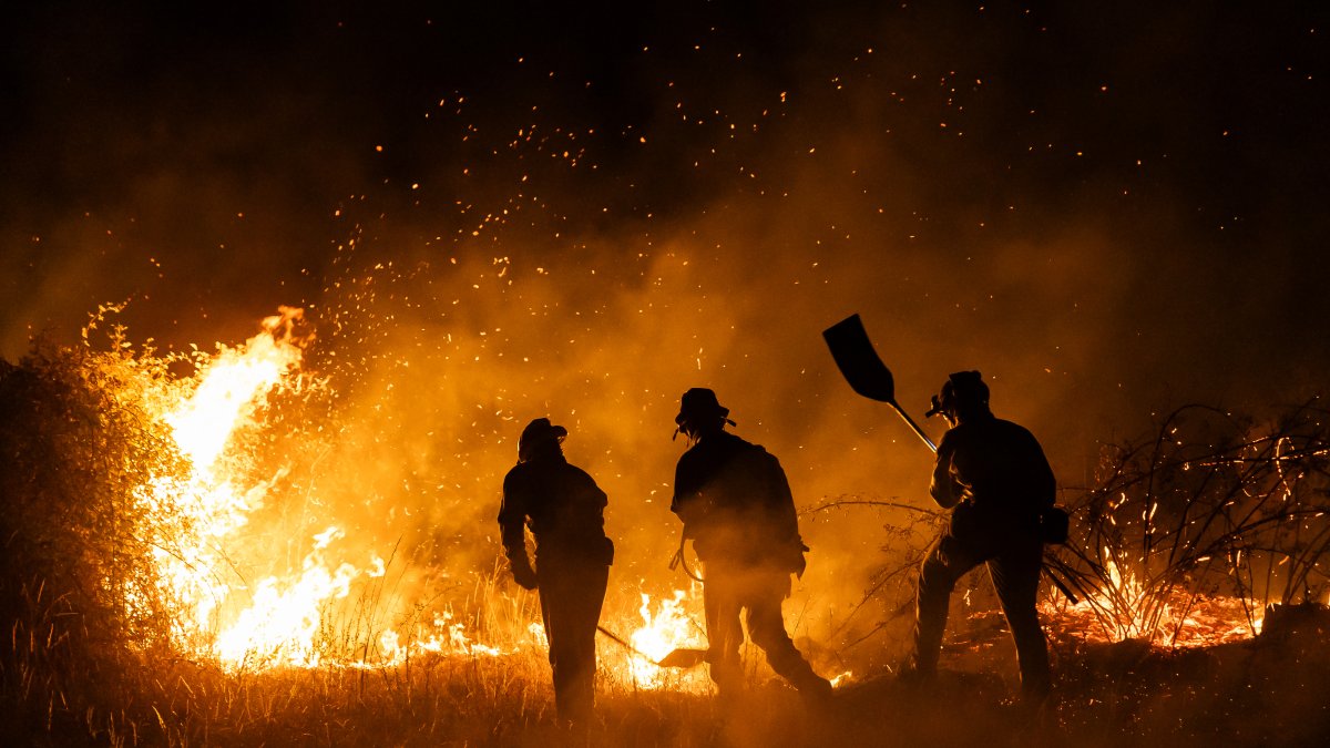 Agentes medioambientales y voluntarios durante los trabajos de extinción del incendio de Fermoselle (Zamora).