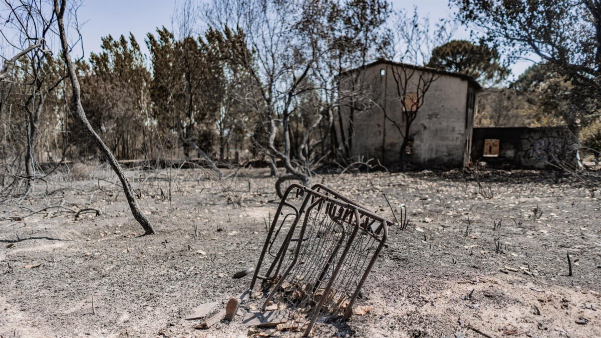 Estado de La Adrada tras el paso del incendio de Burgohondo.