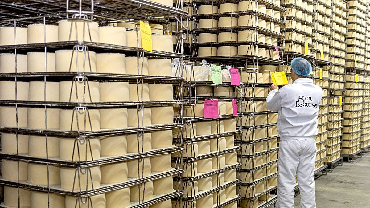 Factoría de Flor del Esgueva, de la multinacional Lactalis, en Peñafiel (Valladolid).