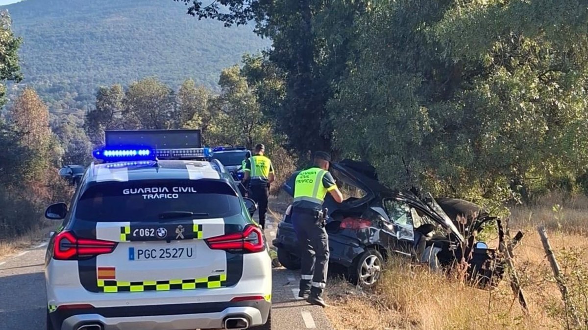 Estado en el que quedaba el vehículo siniestrado tras chocar contra el árbol en Villar del Ala (Soria).