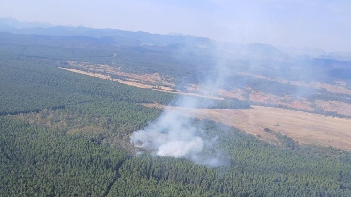 Imagen del incendio surgido en La Ercina (León).